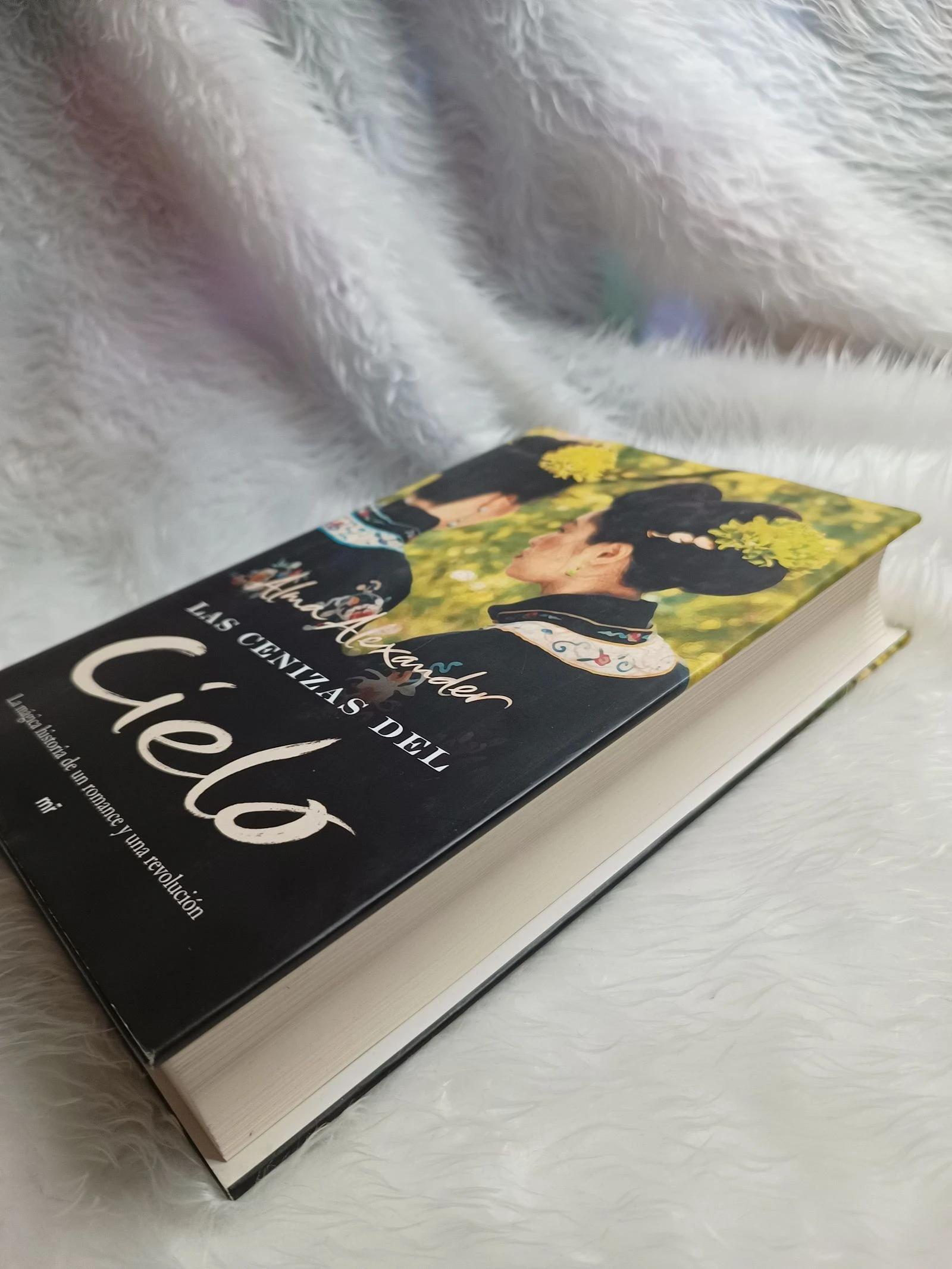 Boek De As van de Hemel – photo 3